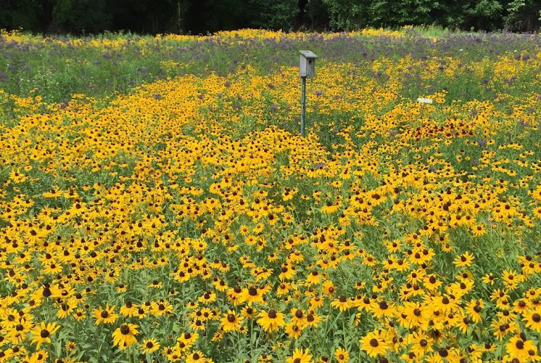 (Climate) Change begins at home