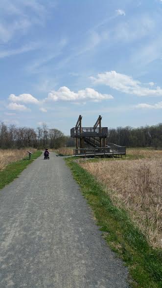 Deb-Dauer-Trail