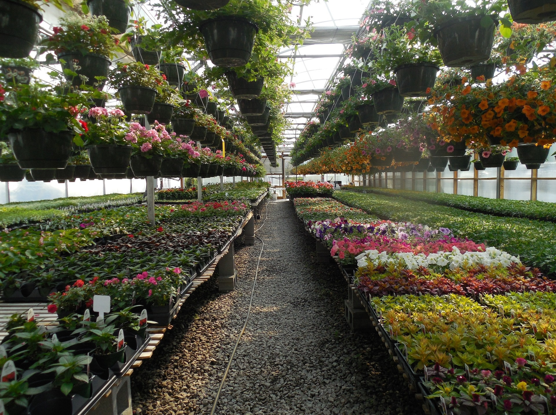 gardencenter