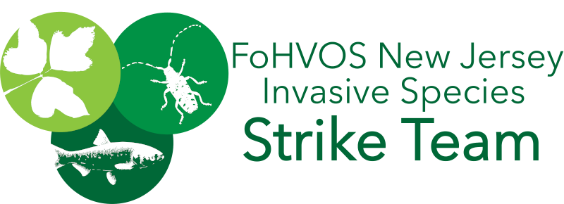 FoHVOS New Jersey Invasive Species Strike Team – 