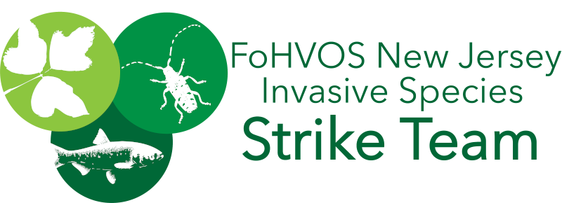 FoHVOS New Jersey Invasive Species Strike Team – FoHVOS New Jersey Invasive Species Strike Team –