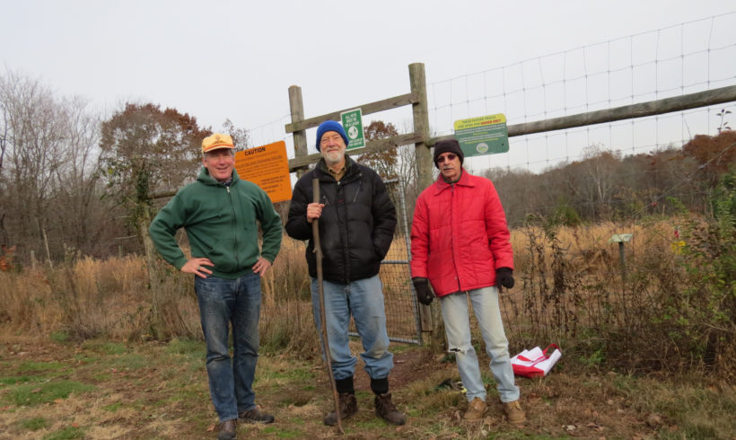 Community Conservation: Local American Chestnut Restoration Offers Promise