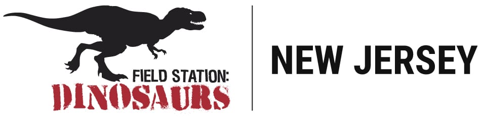 FSD_NJ_Logo