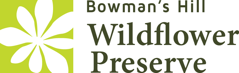 bowmans hill