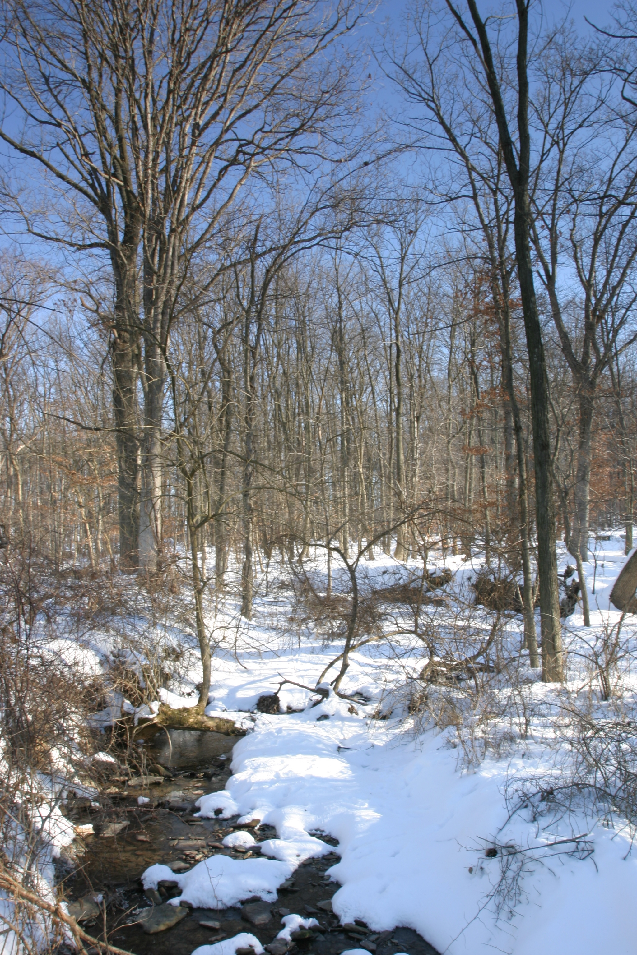 Krech