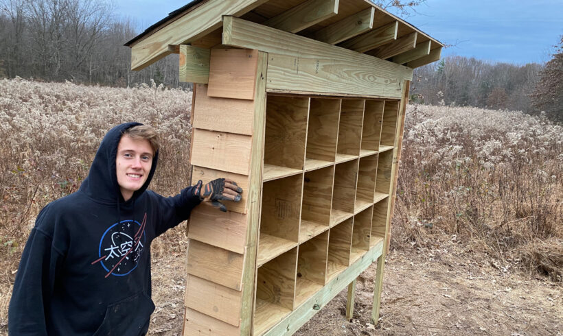 Bee Abode Project